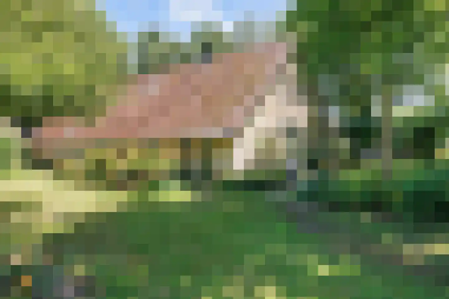 Hoetmansmeer I 102 Nieuwe Pekela thumbnail 75