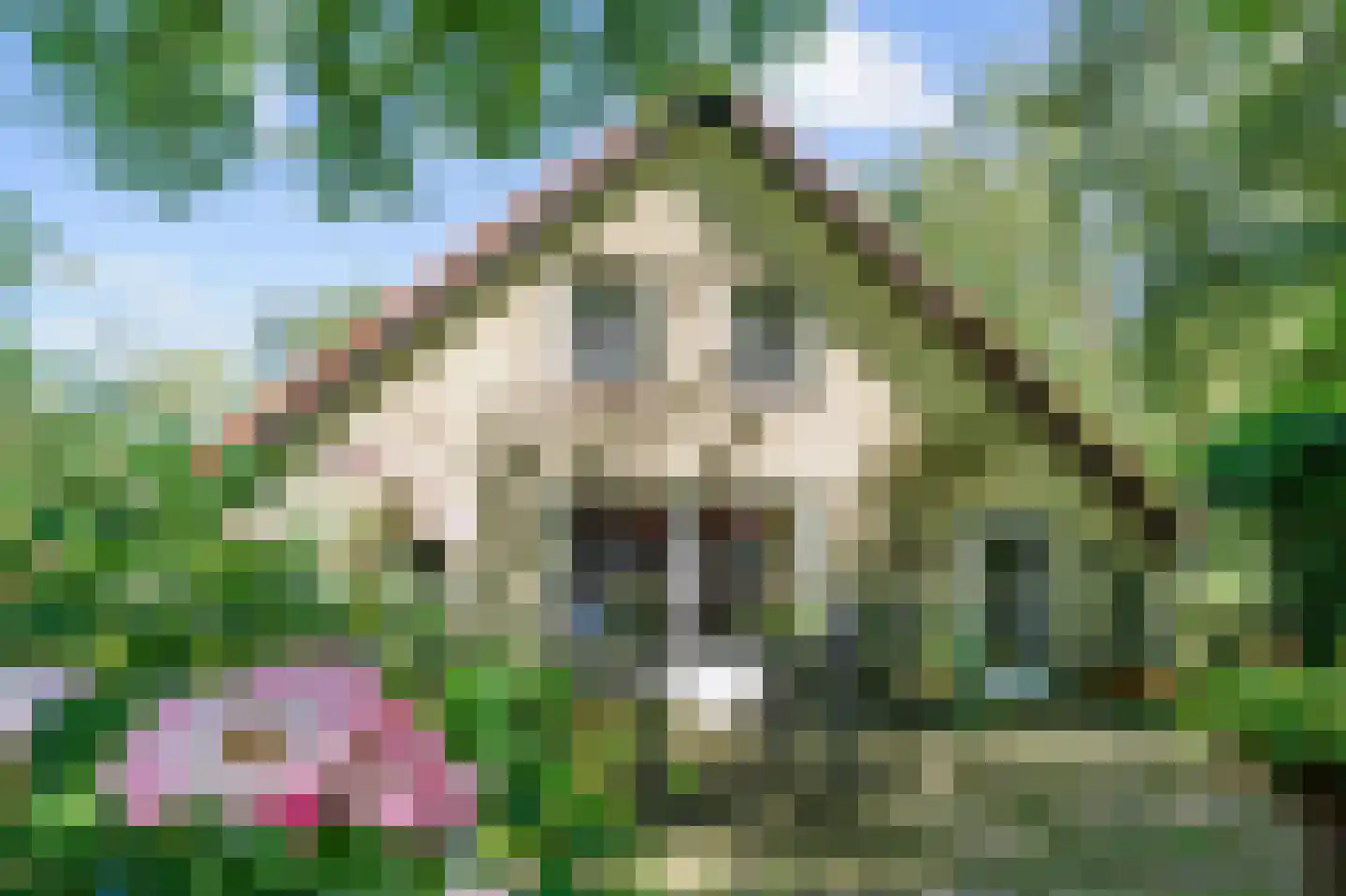 Hoetmansmeer I 102 Nieuwe Pekela thumbnail 76