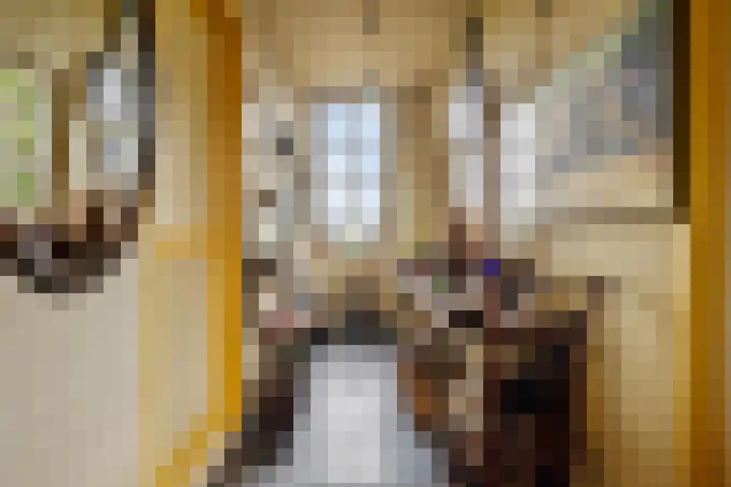 Hoetmansmeer I 102 Nieuwe Pekela thumbnail 9