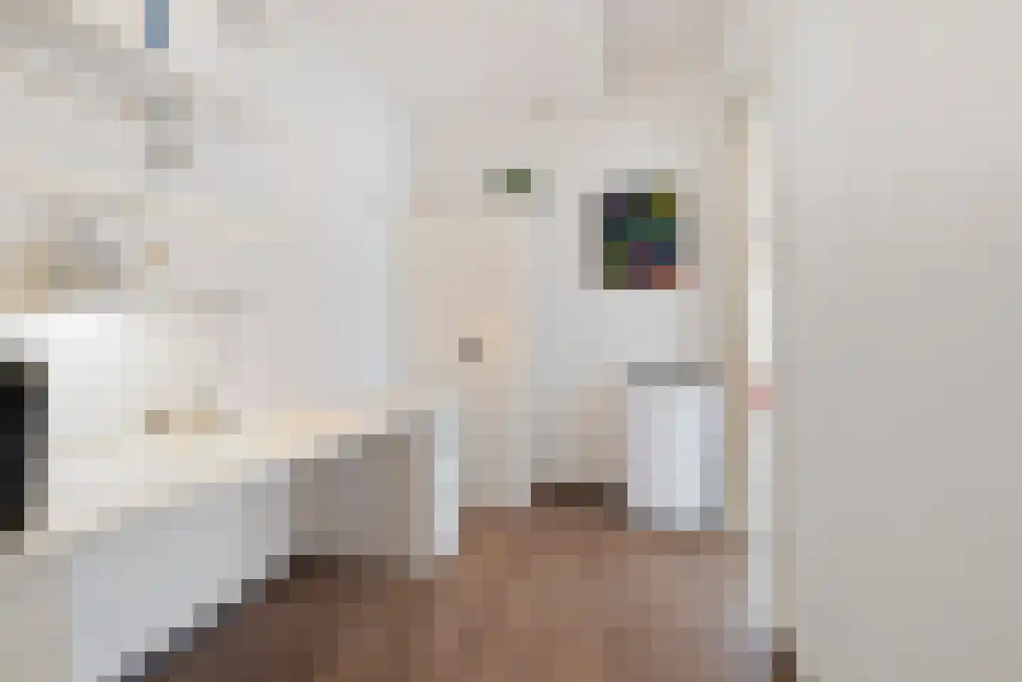 Hoeufftstraat 2 Haarlem thumbnail 19