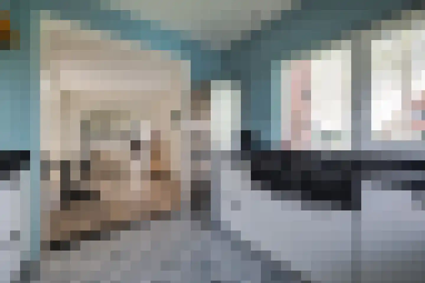 Hoeve 3 Huissen thumbnail 13