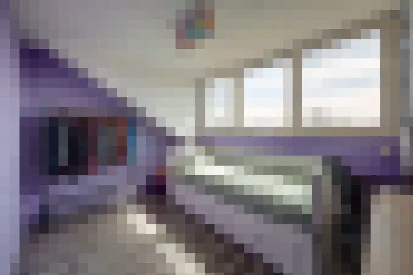 Hoeve 3 Huissen thumbnail 16