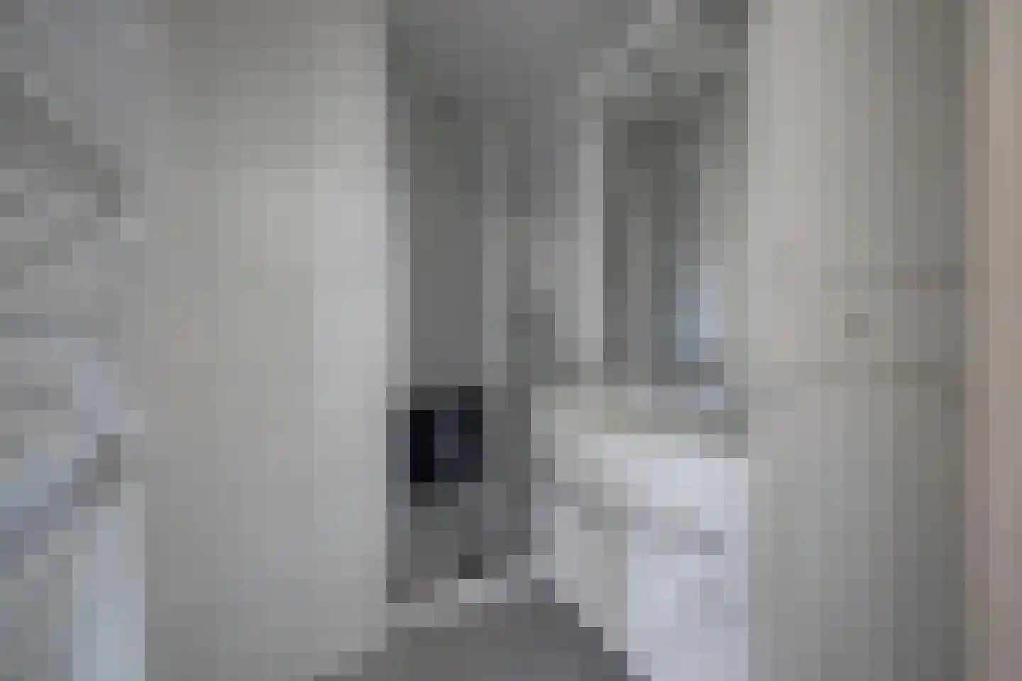Hoeve 3 Huissen thumbnail 20