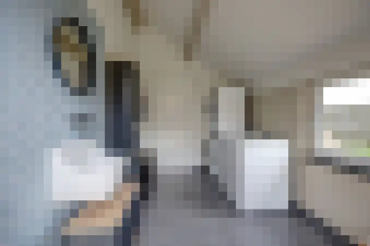 Hoeve 3 Huissen thumbnail 25