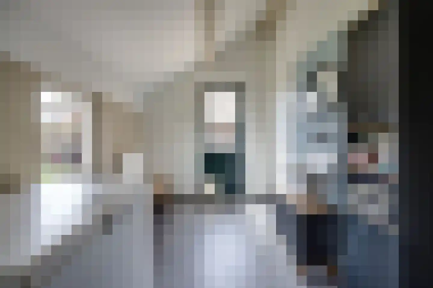 Hoeve 3 Huissen thumbnail 26