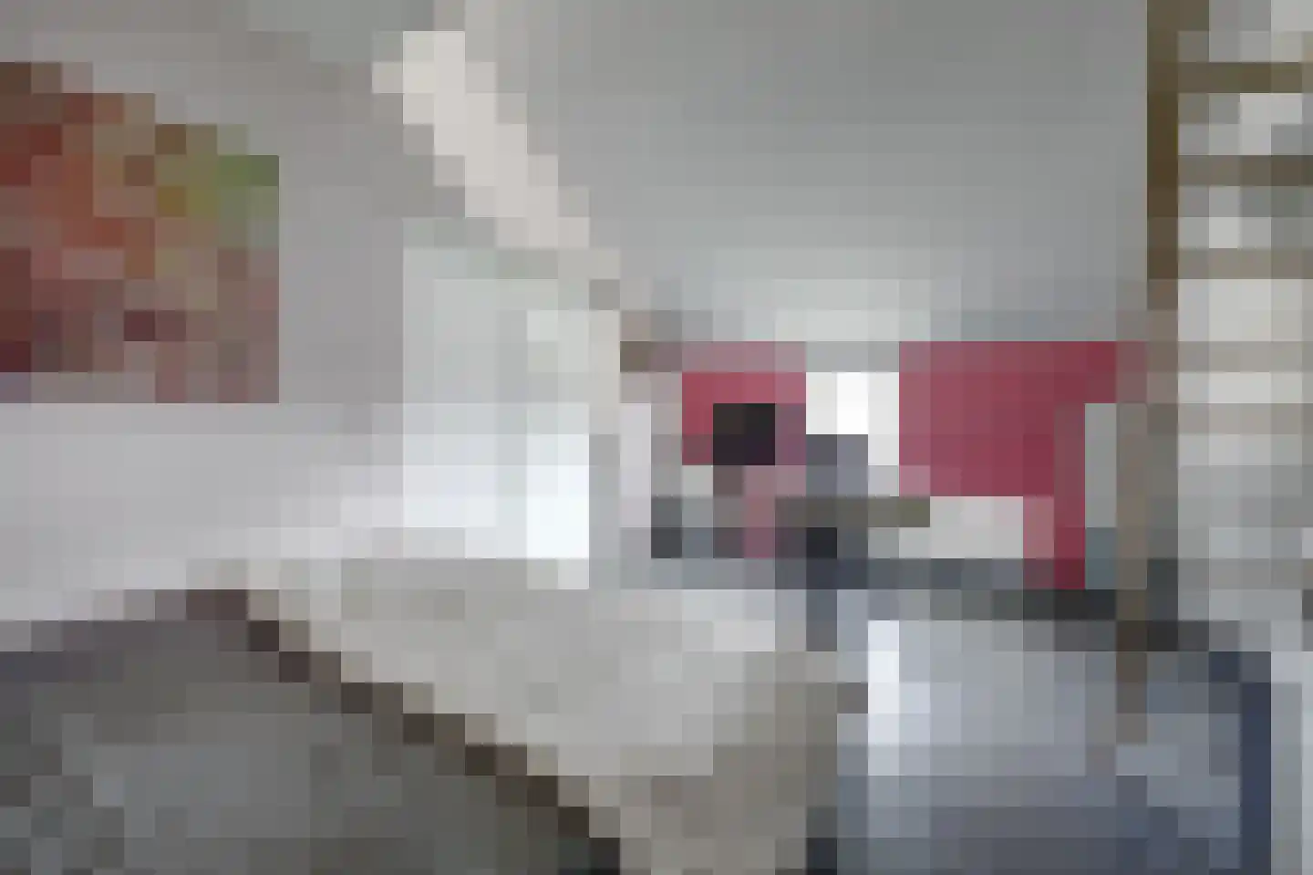 Hoeve 3 Huissen thumbnail 28