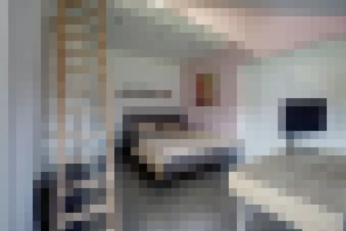 Hoeve 3 Huissen thumbnail 29