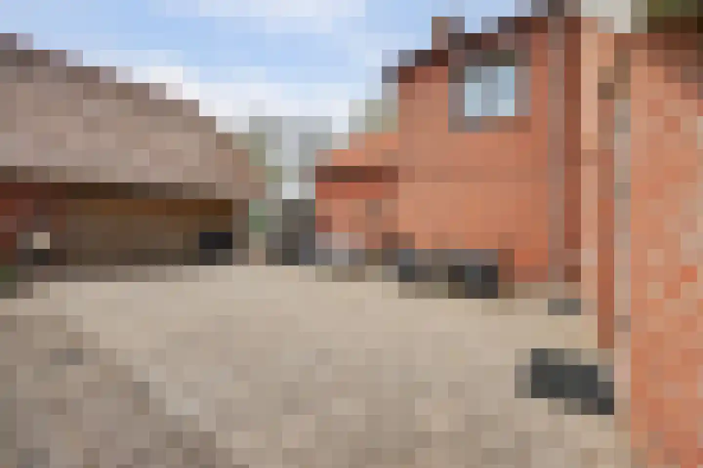 Hoeve 3 Huissen thumbnail 34