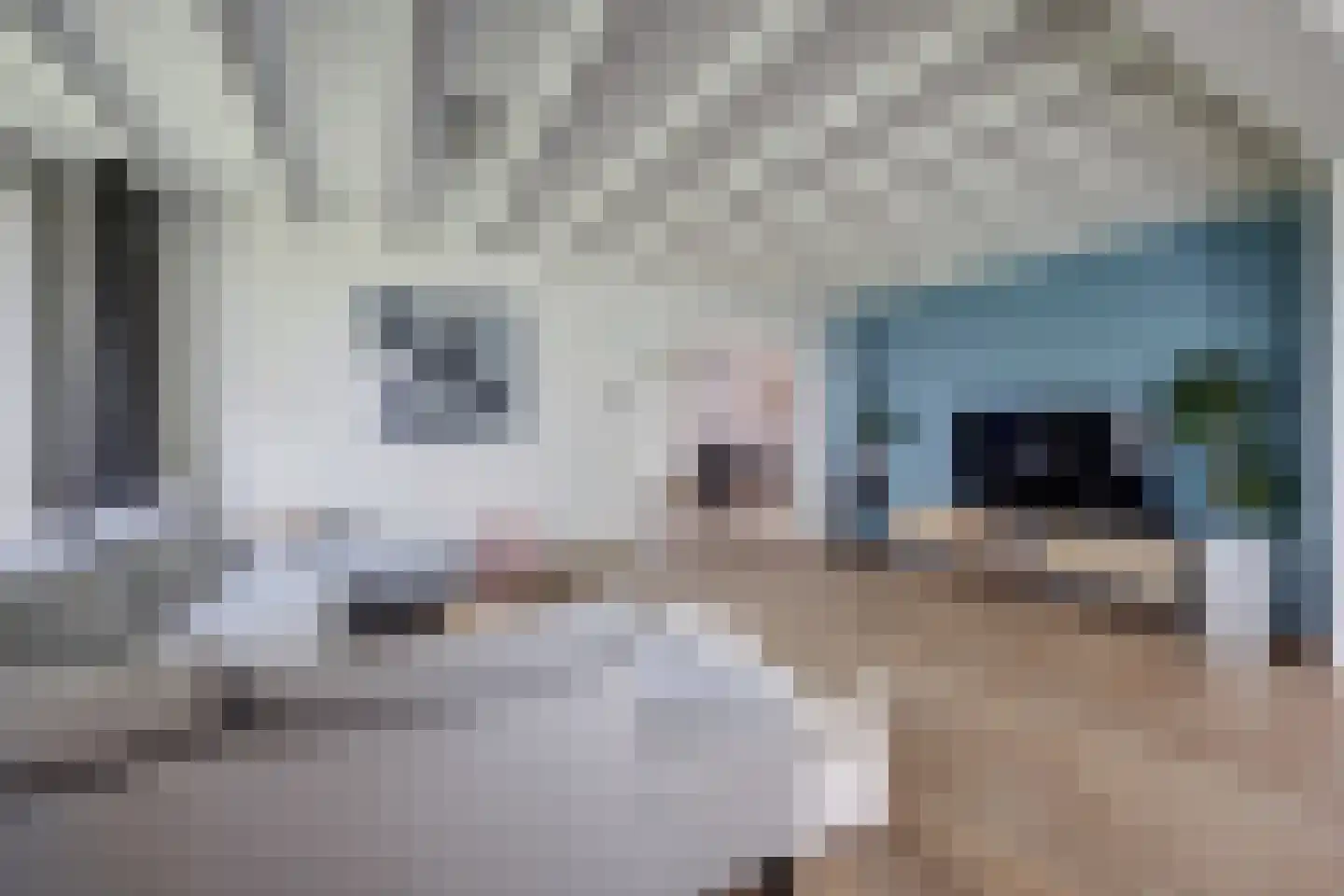 Hoeve 3 Huissen thumbnail 4
