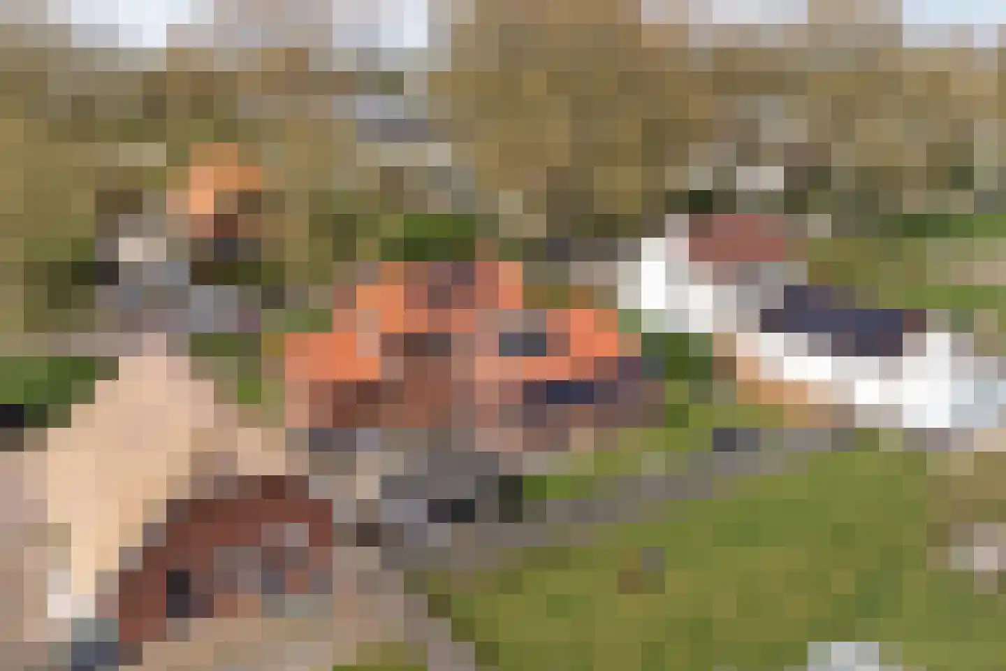 Hoeve 3 Huissen thumbnail 40