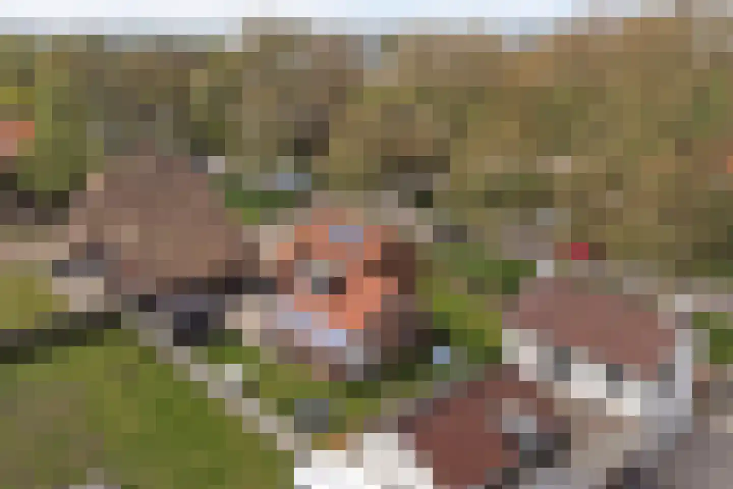 Hoeve 3 Huissen thumbnail 41