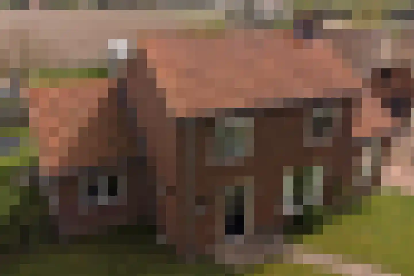 Hoeve 3 Huissen thumbnail 43
