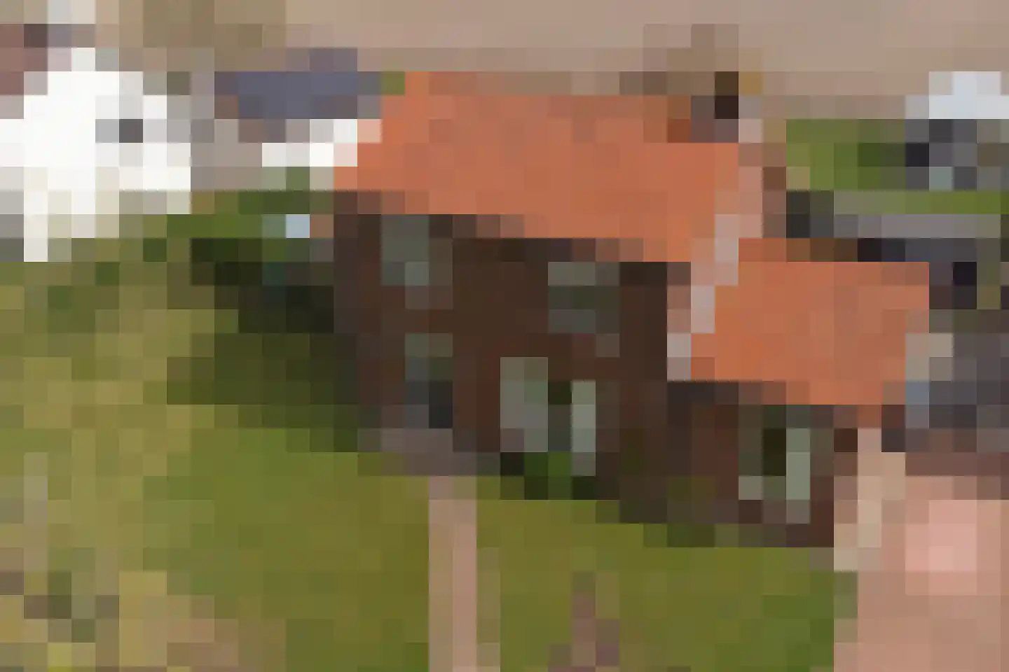 Hoeve 3 Huissen thumbnail 45