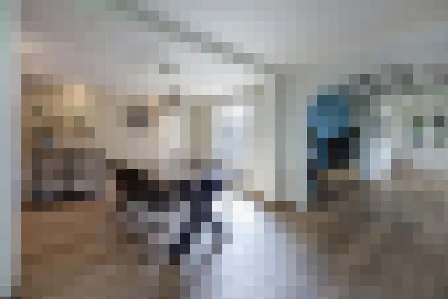 Hoeve 3 Huissen thumbnail 7