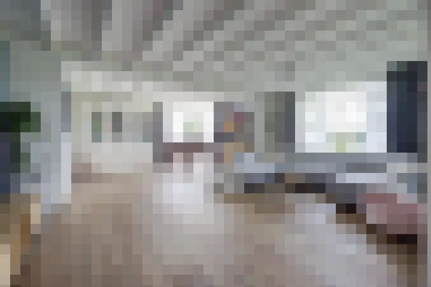 Hoeve 3 Huissen thumbnail 8