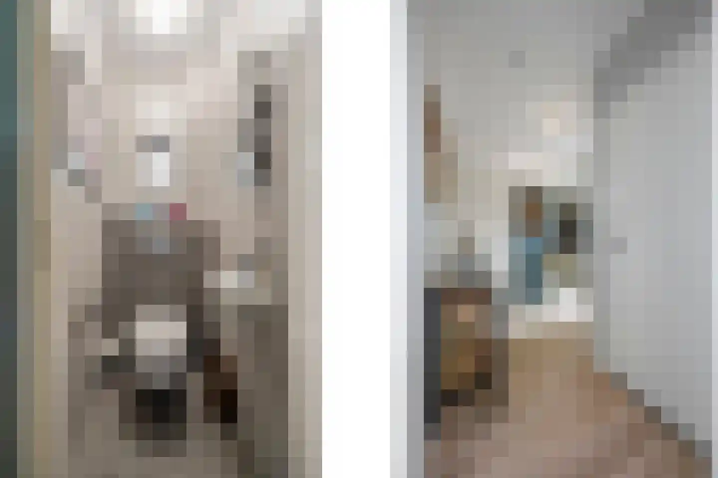 Hoeve 4 Huissen thumbnail 10