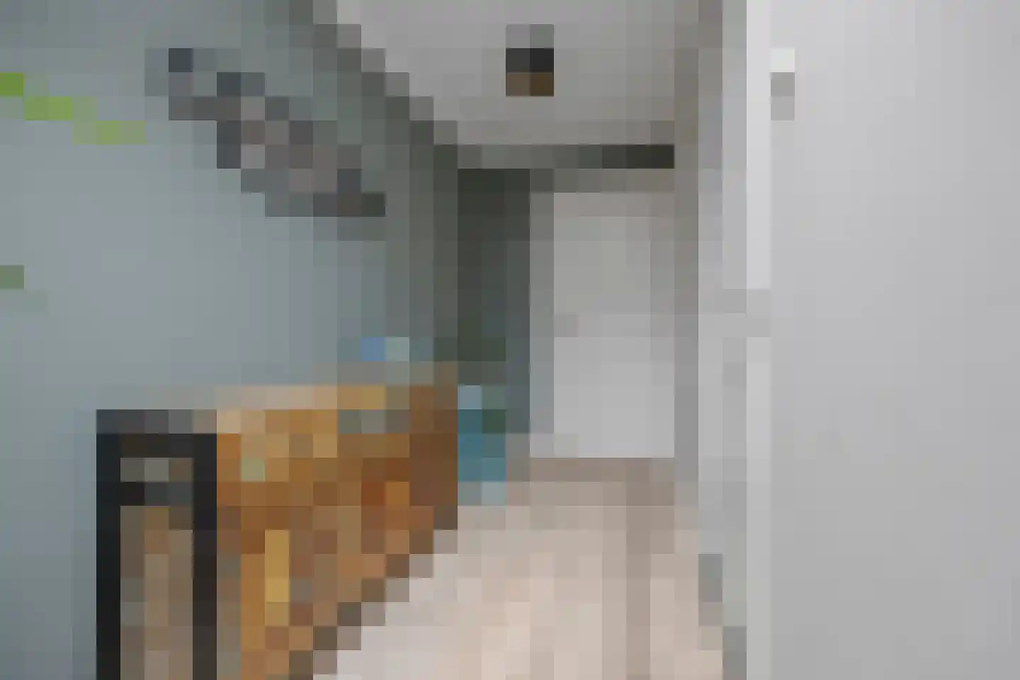 Hoeve 4 Huissen thumbnail 27