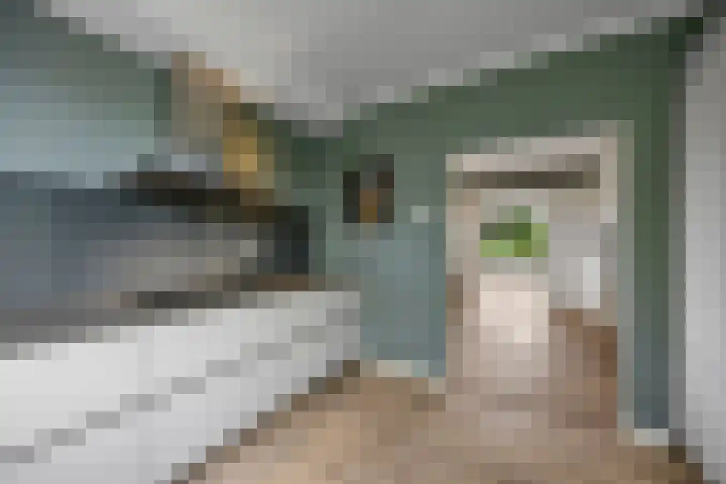 Hoeve 4 Huissen thumbnail 4