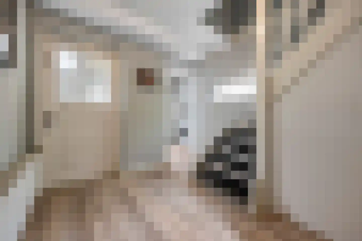 Hoeve 4 Huissen thumbnail 43