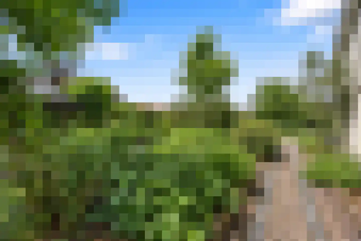 Hoeve 4 Huissen thumbnail 69