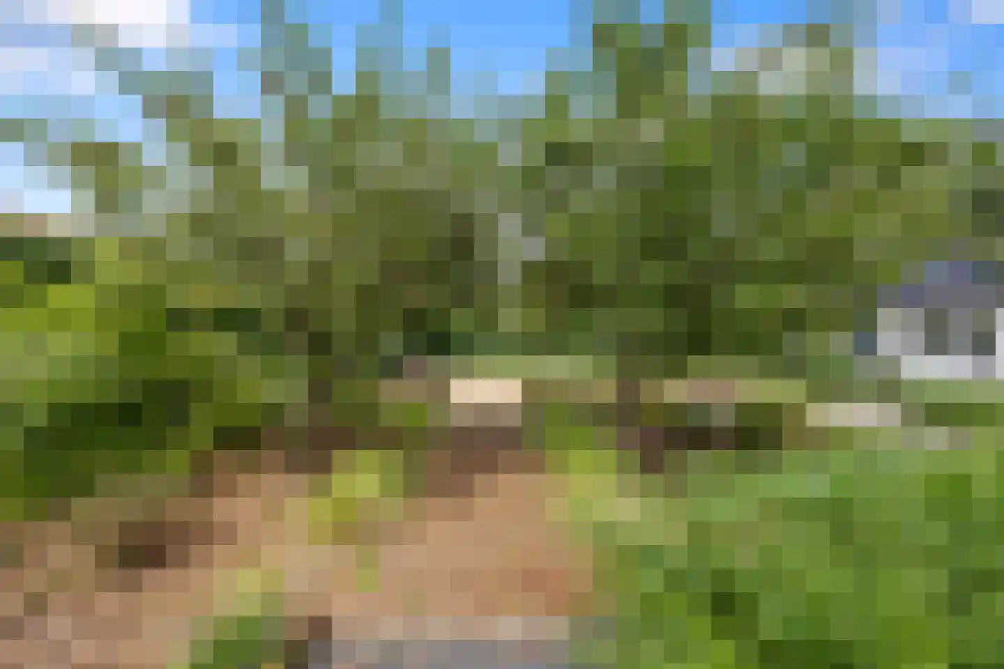 Hoeve 4 Huissen thumbnail 73