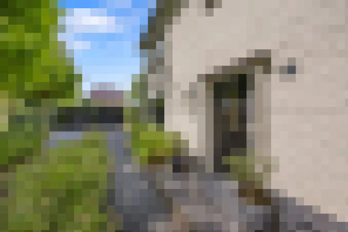Hoeve 4 Huissen thumbnail 8