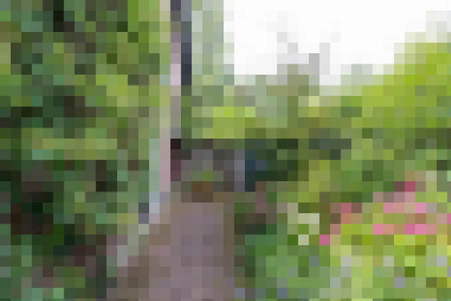 Hoevebrink 1 Zwolle thumbnail 29