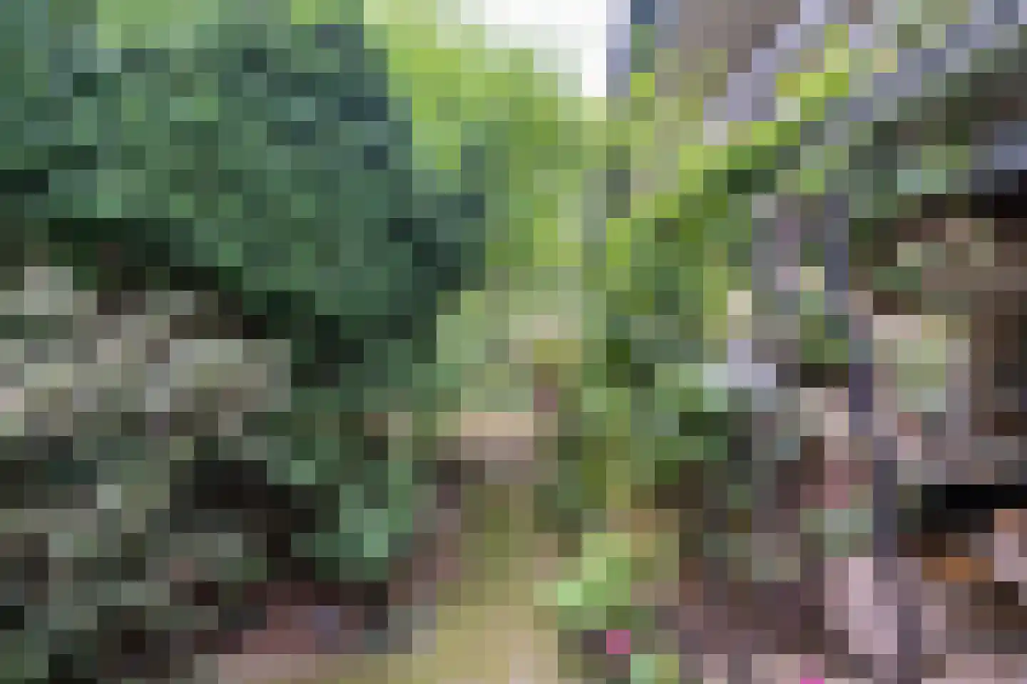 Hoevebrink 1 Zwolle thumbnail 30
