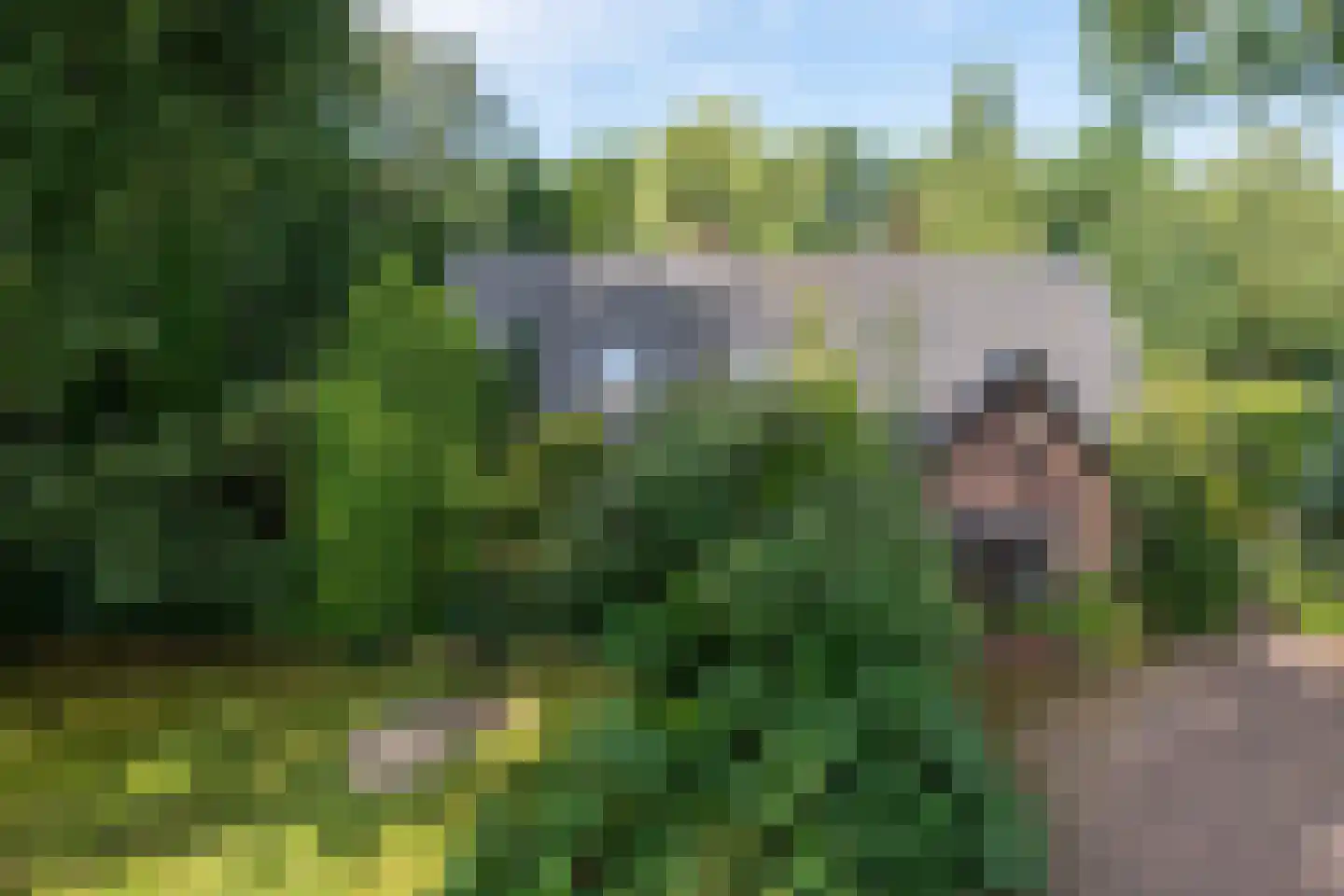 Hoevebrink 1 Zwolle thumbnail 32