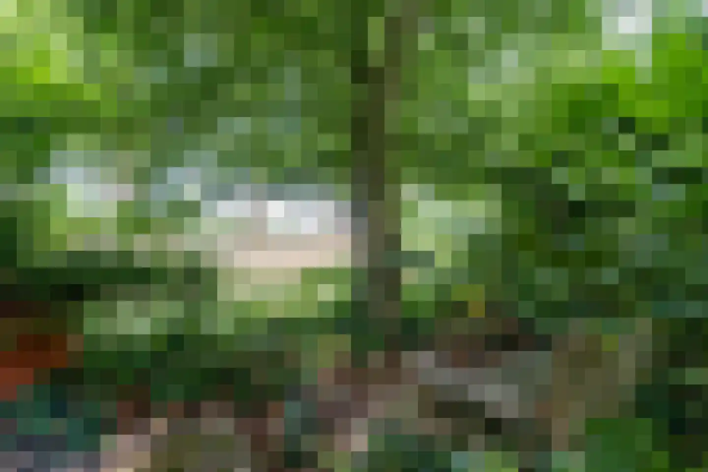 Hoevebrink 1 Zwolle thumbnail 33