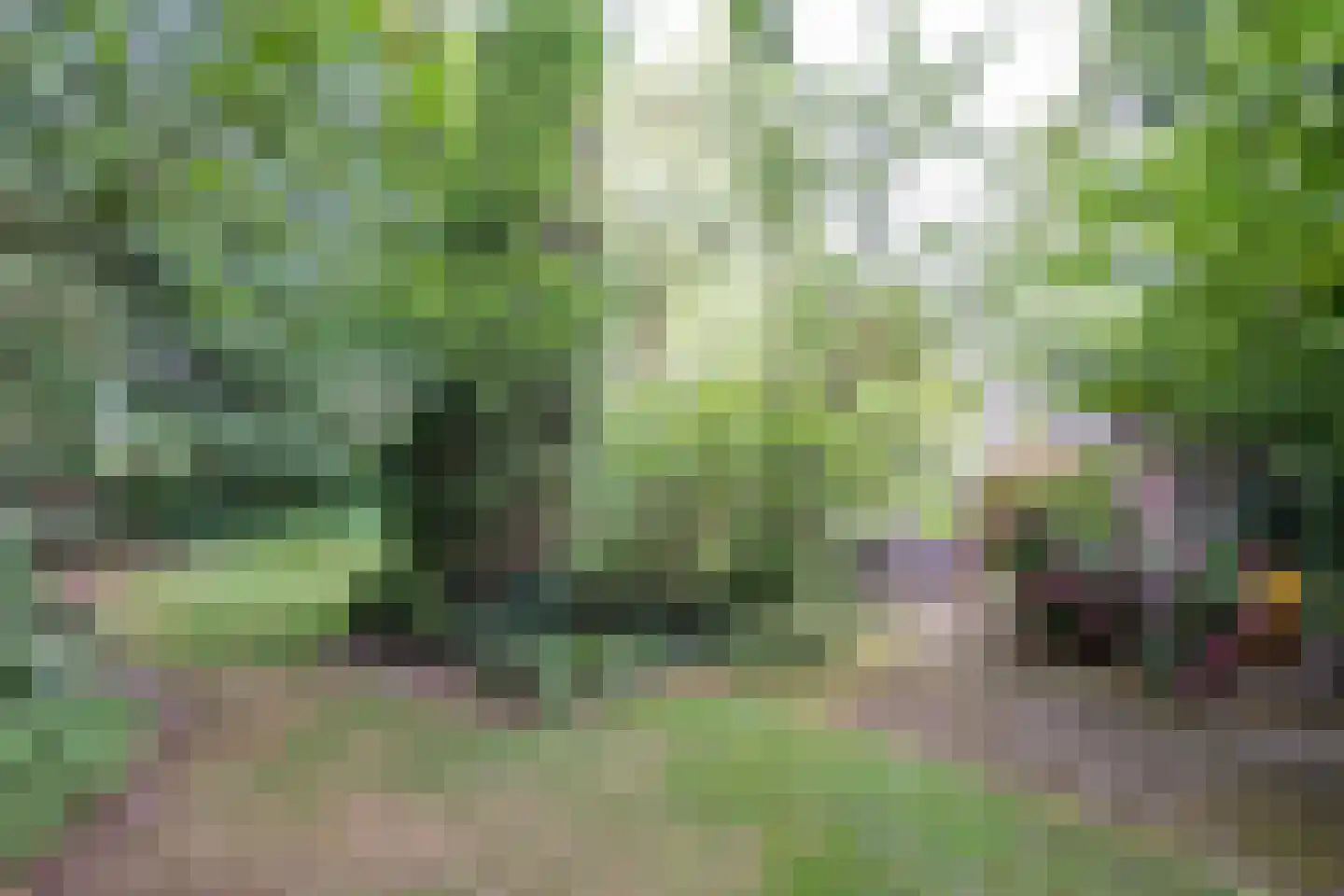 Hoevebrink 1 Zwolle thumbnail 34