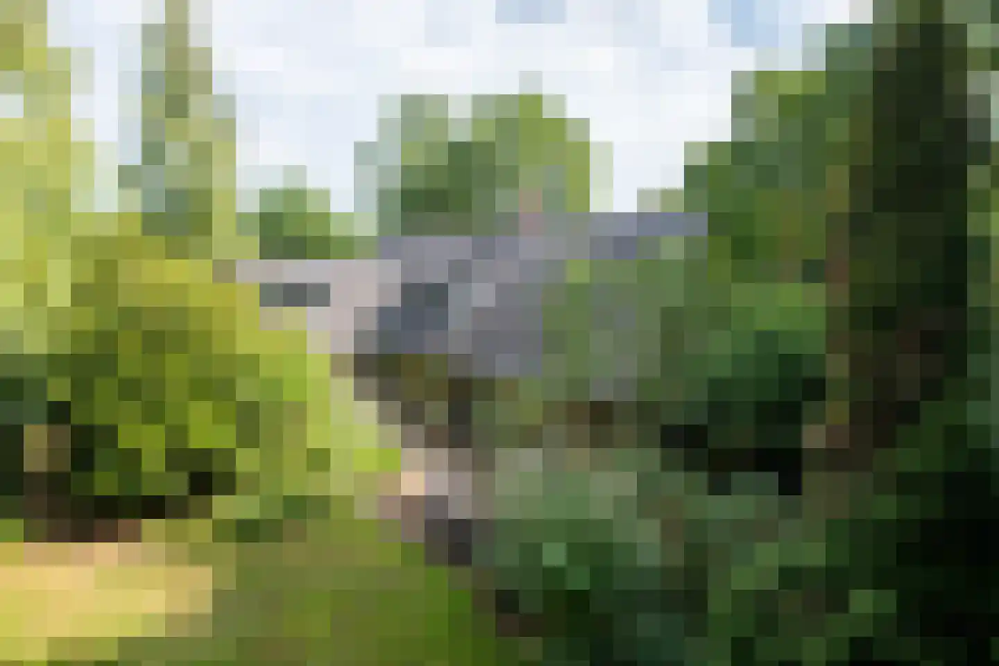 Hoevebrink 1 Zwolle thumbnail 35