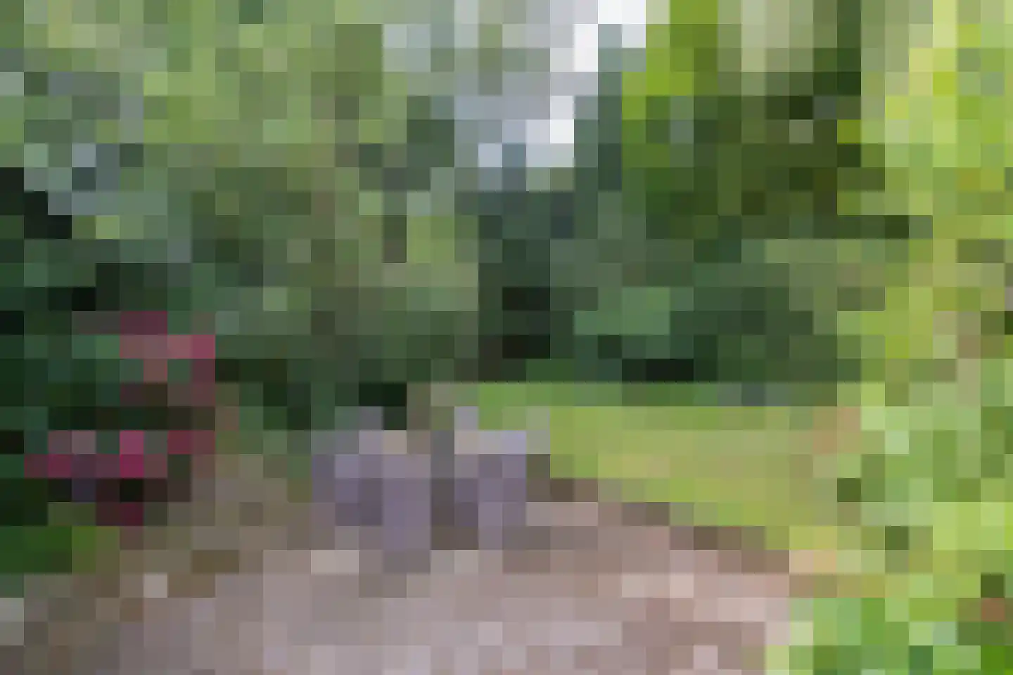 Hoevebrink 1 Zwolle thumbnail 5