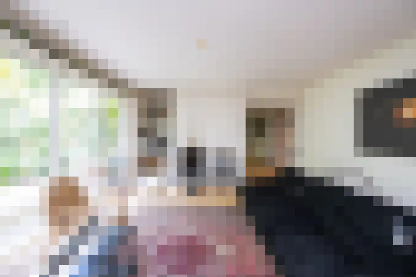 Hoevebrink 1 Zwolle thumbnail 9