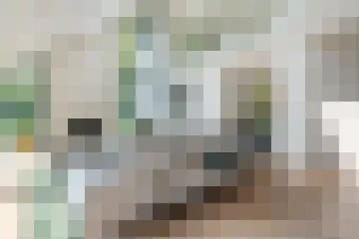 Hoevebrink 15 Zwolle thumbnail 10