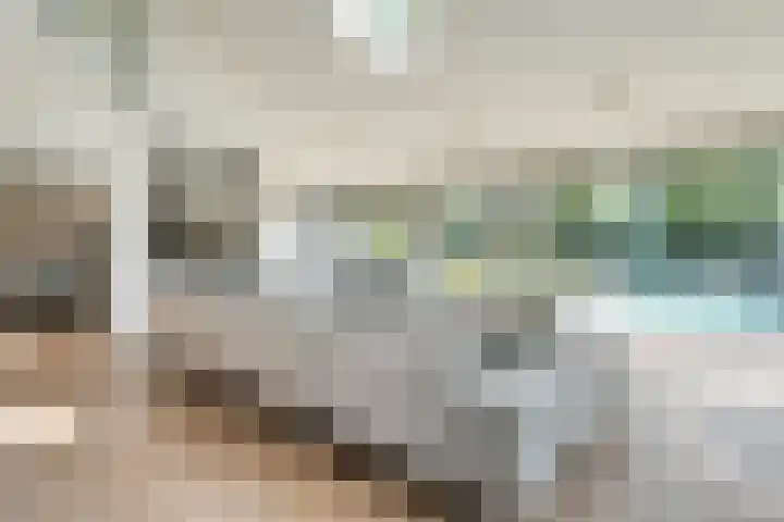 Hoevebrink 15 Zwolle thumbnail 11