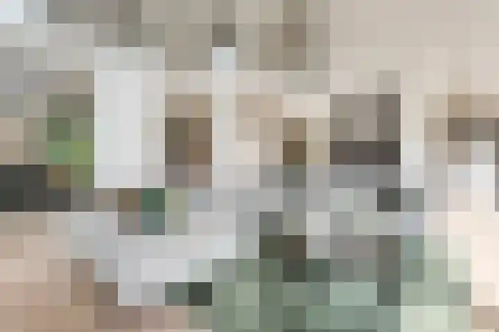 Hoevebrink 15 Zwolle thumbnail 12