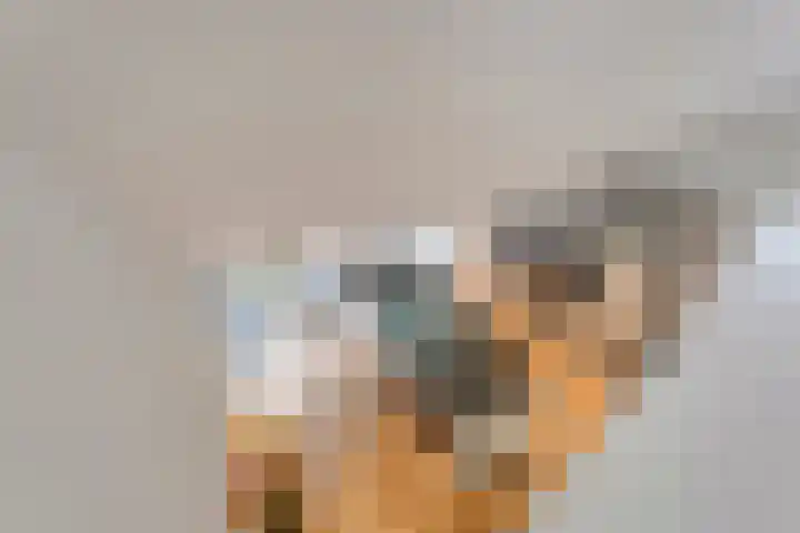 Hoevebrink 15 Zwolle thumbnail 29