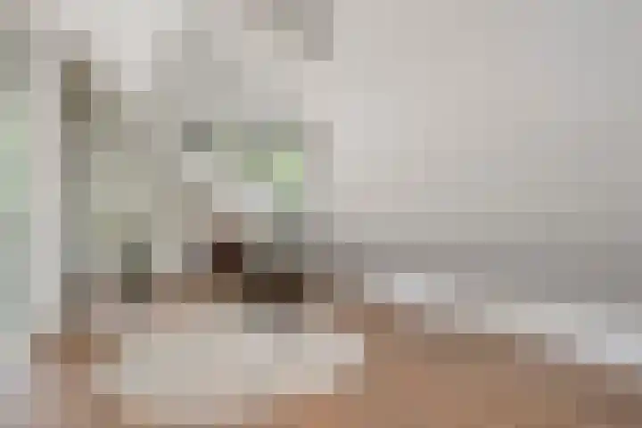 Hoevebrink 15 Zwolle thumbnail 30