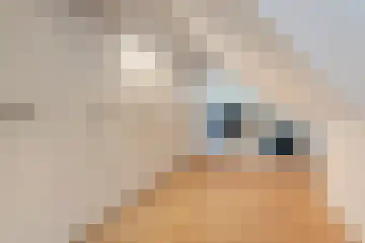 Hoevebrink 15 Zwolle thumbnail 37