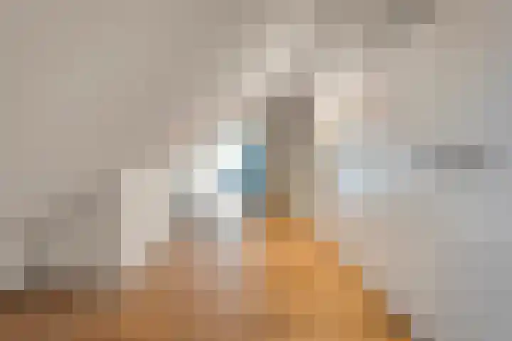 Hoevebrink 15 Zwolle thumbnail 38