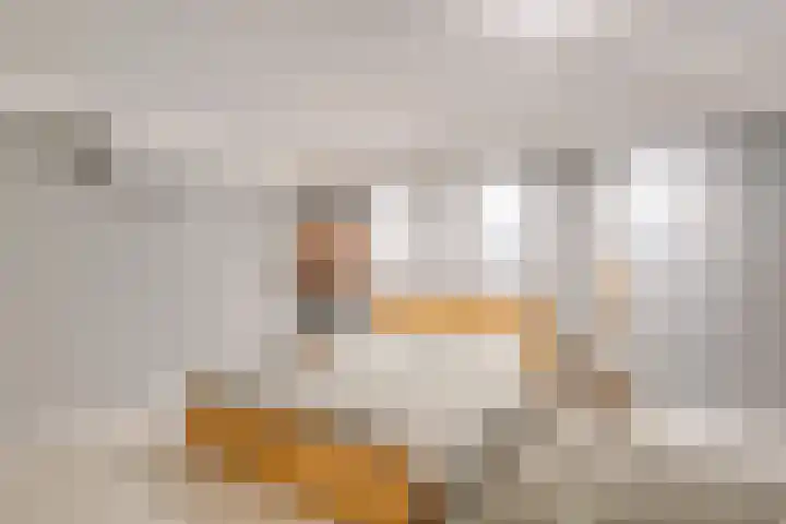 Hoevebrink 15 Zwolle thumbnail 47