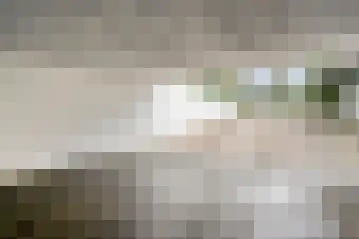 Hoevebrink 15 Zwolle thumbnail 51