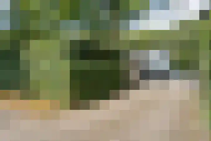 Hoevebrink 15 Zwolle thumbnail 52