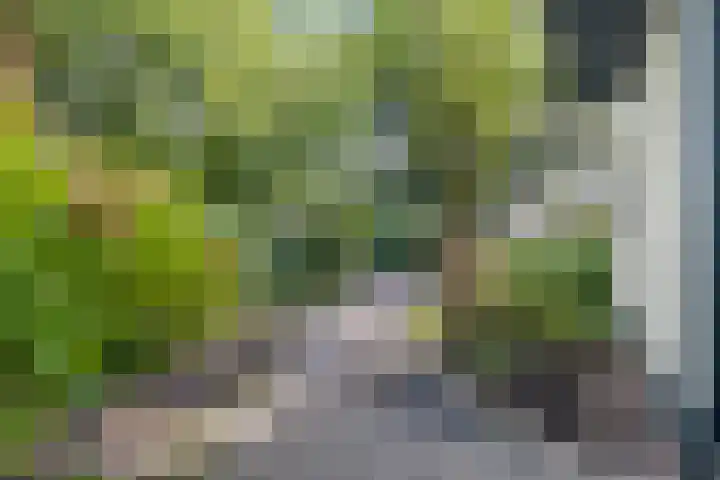 Hoevebrink 15 Zwolle thumbnail 53