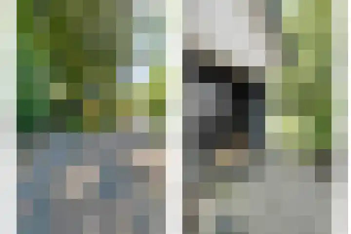 Hoevebrink 15 Zwolle thumbnail 54