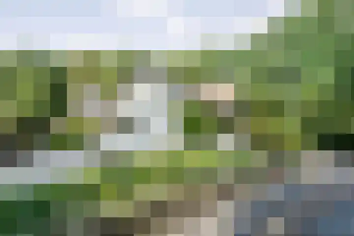 Hoevebrink 15 Zwolle thumbnail 55