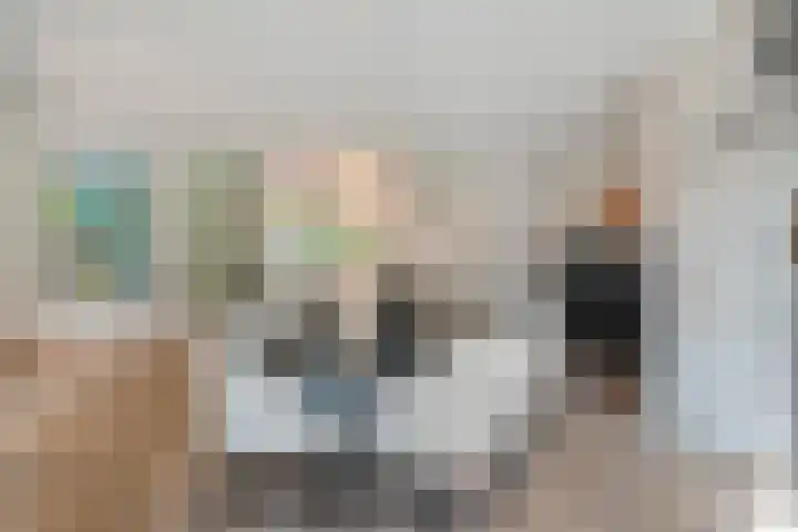 Hoevebrink 15 Zwolle thumbnail 6