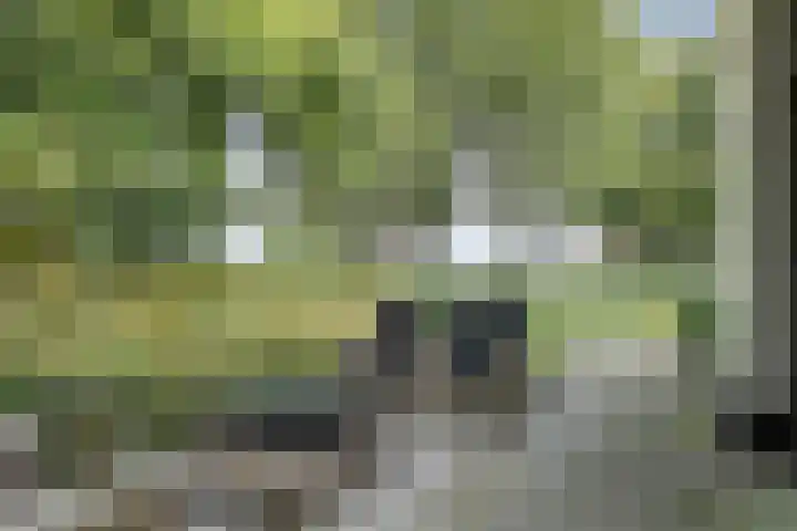 Hoevebrink 15 Zwolle thumbnail 62