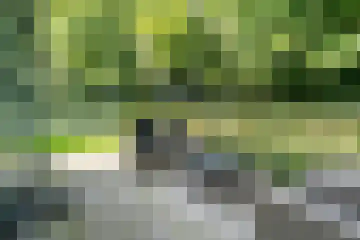 Hoevebrink 15 Zwolle thumbnail 63